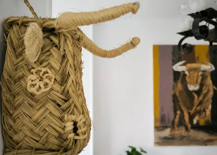 Casa Toro * Τορεβιέχα